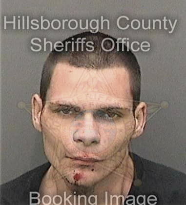 Hector Dejesus, - Hillsborough County, FL 