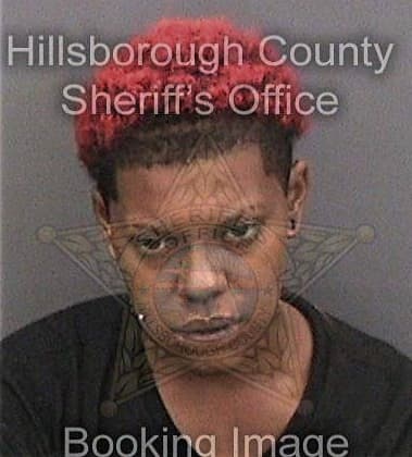 Guecoba Dow, - Hillsborough County, FL 