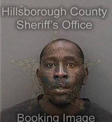 Lamar Hamilton, - Hillsborough County, FL 