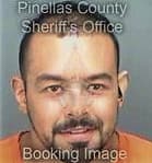 David Lopezdelatorre, - Pinellas County, FL 