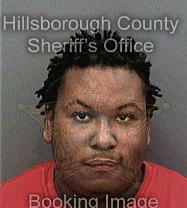 Jeffery Matthews - Hillsborough County, FL 