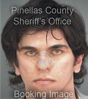 Christopher Pachik, - Pinellas County, FL 