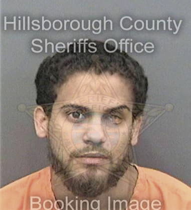 Chad Swallows, - Hillsborough County, FL 