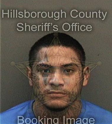 Ruben Zegarra-Puscan, - Hillsborough County, FL 