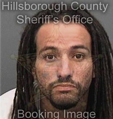 Efren Alvarezgonzalez, - Hillsborough County, FL 