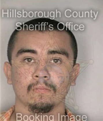 Eleazor Cristobal, - Hillsborough County, FL 