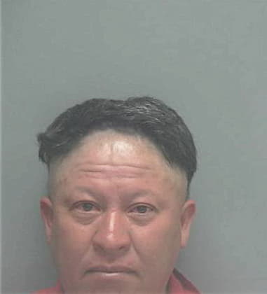 Manuel Delhoyo, - Lee County, FL 