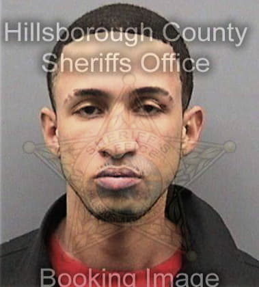 Raul Gallorna, - Hillsborough County, FL 