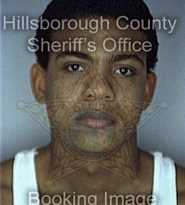George McKinley - Hillsborough County, FL 