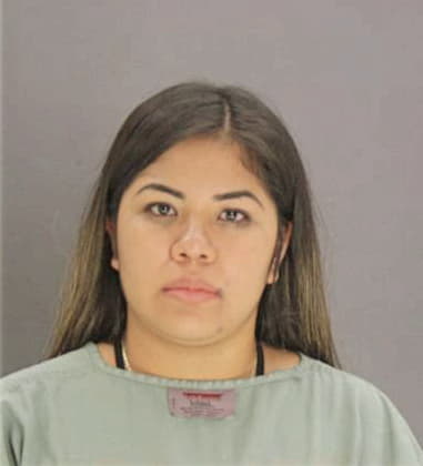 Elida Mejiarico, - Dallas County, TX 