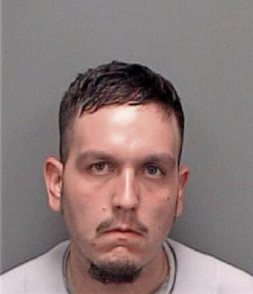 Gregory Reece, - Pinellas County, FL 