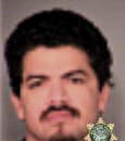 Pedro Reyes - Multnomah County, OR 