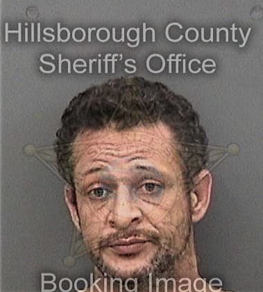 Brandon Seabolt, - Hillsborough County, FL 