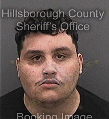 Steven Tanner, - Hillsborough County, FL 