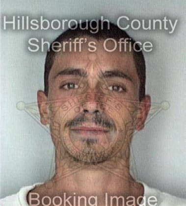 Timothy Wichowski - Hillsborough County, FL 