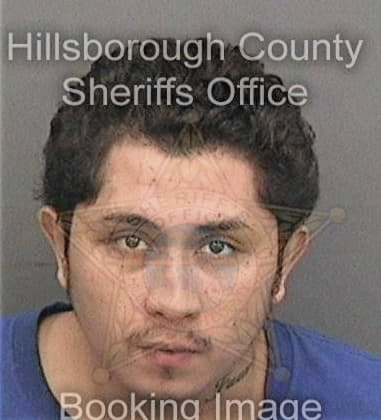 Dominic Altomare, - Hillsborough County, FL 