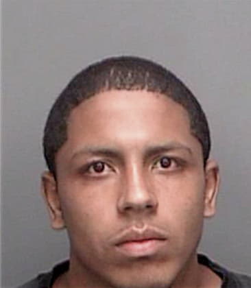 David Barcoreyes, - Pinellas County, FL 