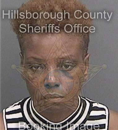 Tiffany Clemmons - Hillsborough County, FL 