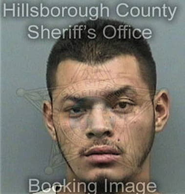 Miguel Figueroracotto, - Hillsborough County, FL 