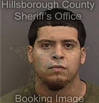 Ariel Fuentesortega, - Hillsborough County, FL 