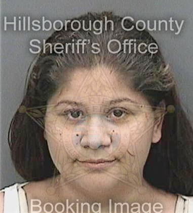 Neylis Hernandezveloz - Hillsborough County, FL 