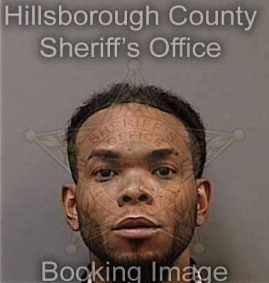 Dondriec McNeal - Hillsborough County, FL 