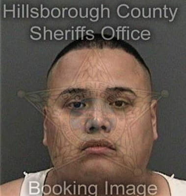 Abraham Orellana, - Hillsborough County, FL 