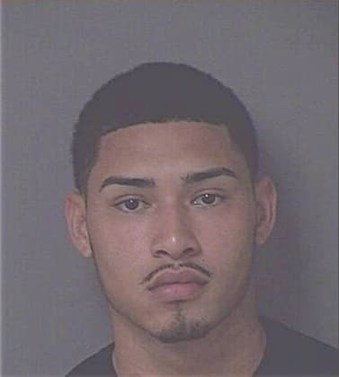 Wilmer Villarreyna-Zelaya, - Osceola County, FL 