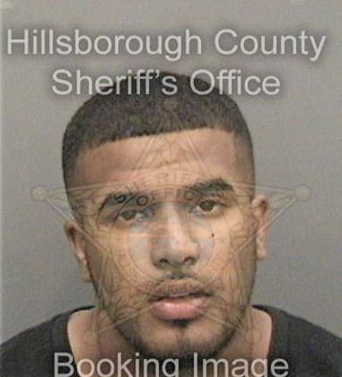 Johnathan Wood, - Hillsborough County, FL 