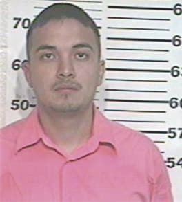 Audelio Anaya, - Hidalgo County, TX 