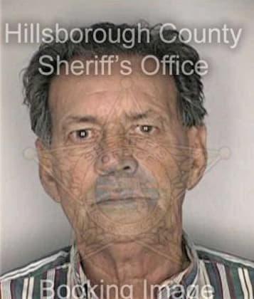 Leslie Borhi - Hillsborough County, FL 