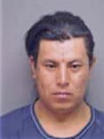 Jesus Gonzalez, - Manatee County, FL 