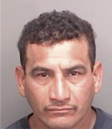 Alenjandro Rinconhernandez, - Pinellas County, FL 