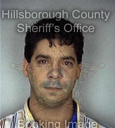 Manuel Romero, - Hillsborough County, FL 