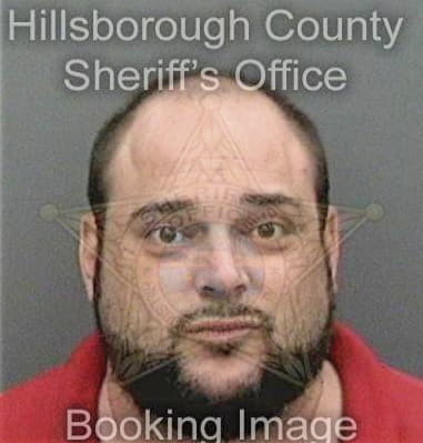 Hiram Santosgarcia, - Hillsborough County, FL 