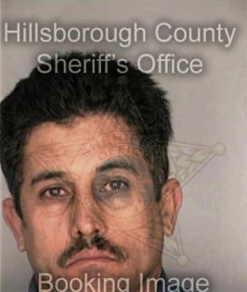 Robert Wiggins - Hillsborough County, FL 