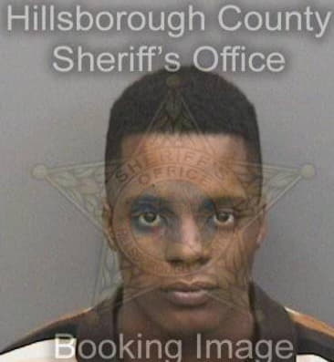 Anthony Williams - Hillsborough County, FL 