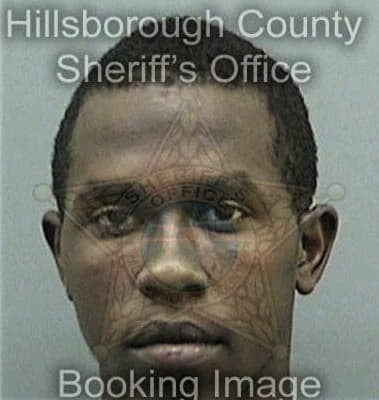 Brian Williams - Hillsborough County, FL 