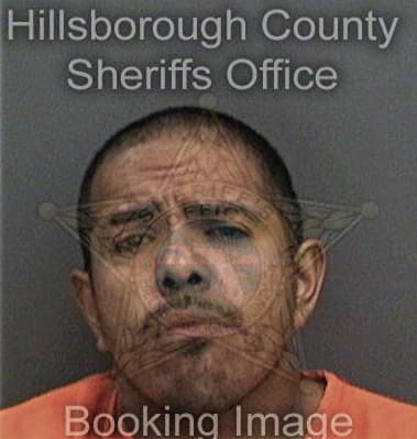Andrew Bowman - Hillsborough County, FL 