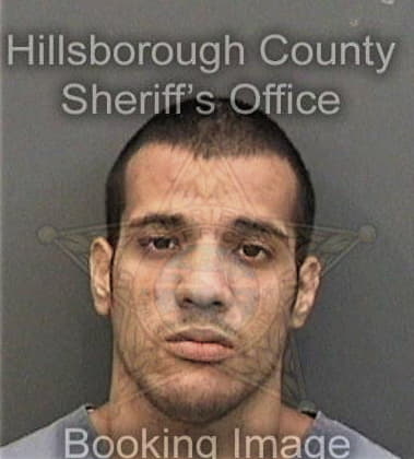 Carl Darrigo, - Hillsborough County, FL 