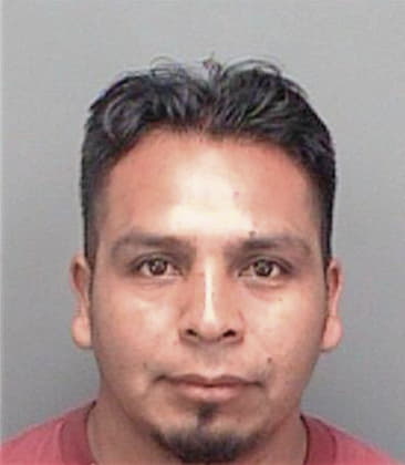 Jose Delrio, - Pinellas County, FL 