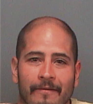 Florentino Garciaromero, - Pinellas County, FL 