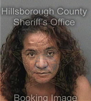 Bridget Hangen, - Hillsborough County, FL 