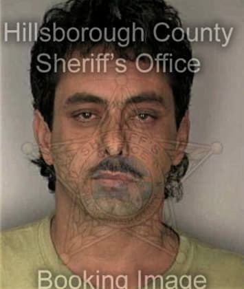 Enrique Lira, - Hillsborough County, FL 