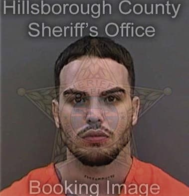 Francisco Martinez, - Hillsborough County, FL 