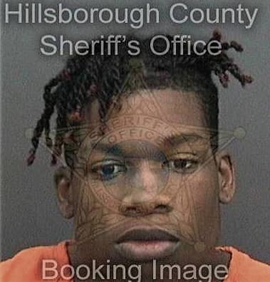 Armon Riggins, - Hillsborough County, FL 