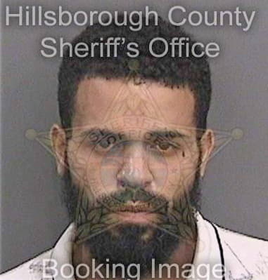 Rafael Villagasmartinez, - Hillsborough County, FL 