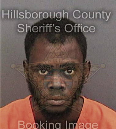 Demarko Williams - Hillsborough County, FL 