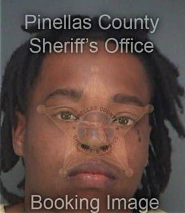 Denise Williams, - Pinellas County, FL 