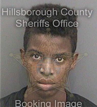 Lianishia Wilson, - Hillsborough County, FL 